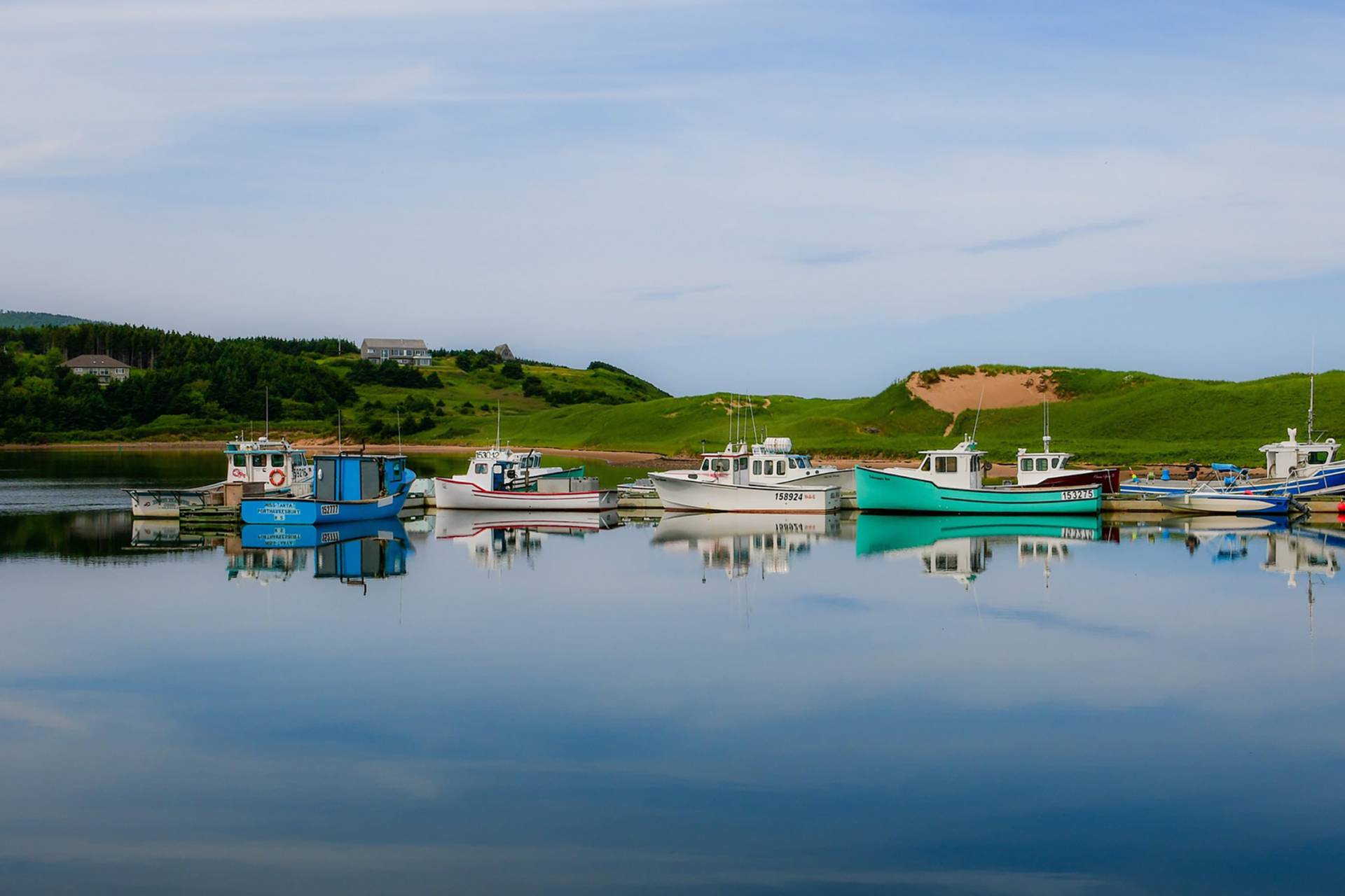 Boats in a harbour